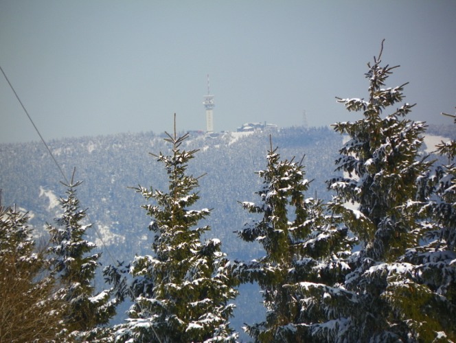 Stacks Image 81